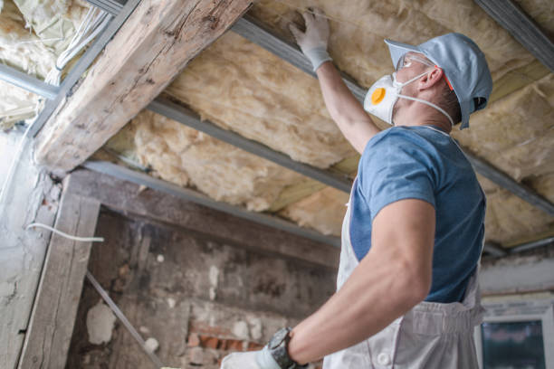 Best Insulation Installation Services in Franklin, VA