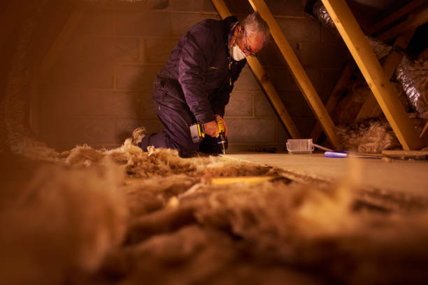 Best Commercial Insulation in Franklin, VA